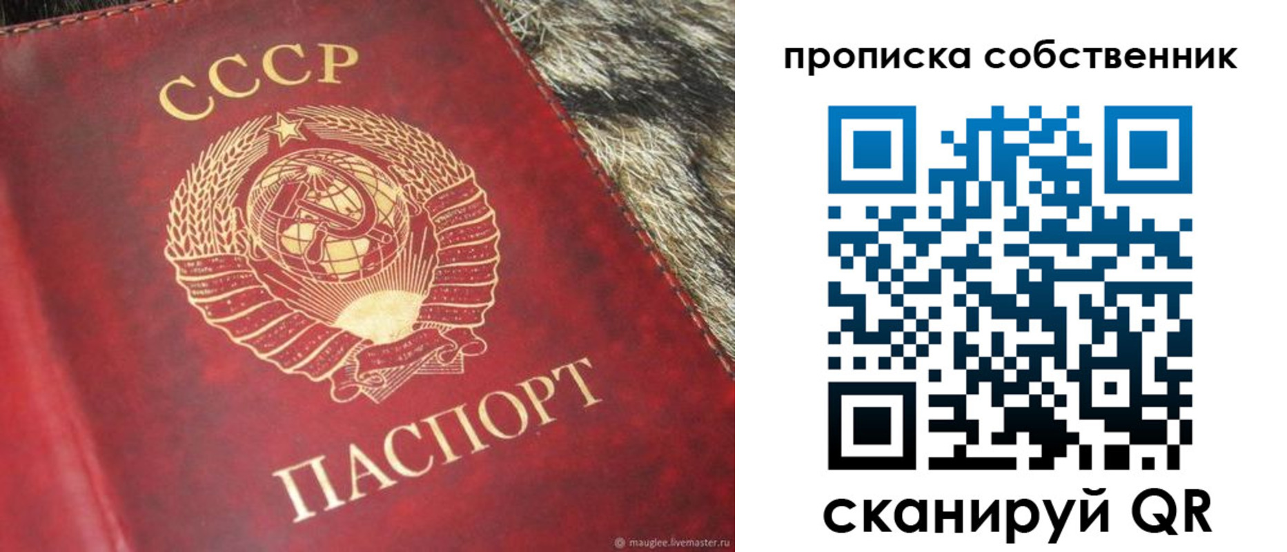 прописка в квартире в Петропавловске-Камчатском